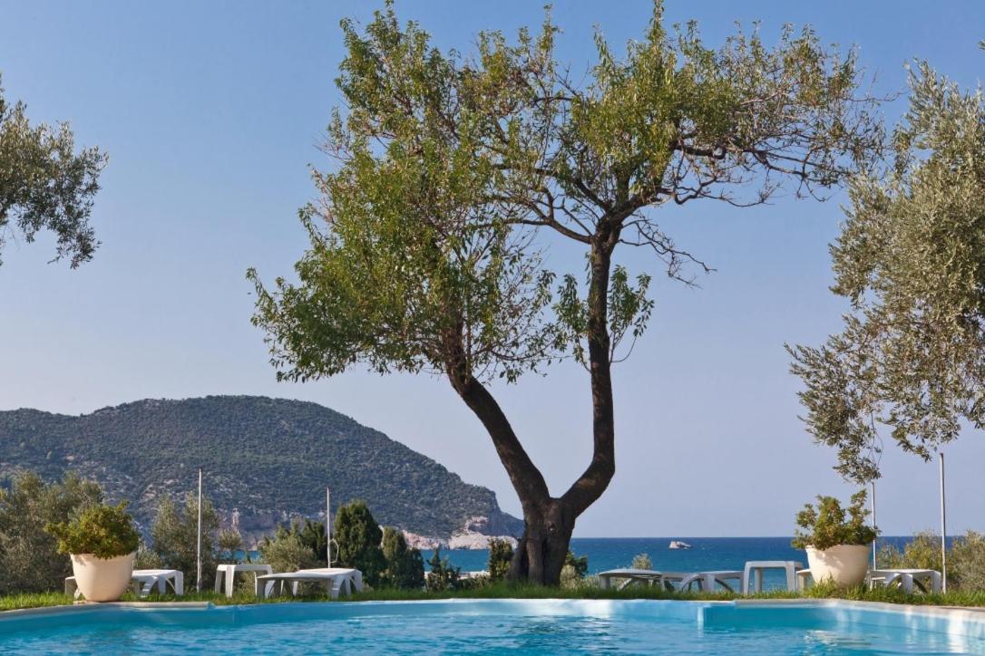 Del Sol Skopelos מראה חיצוני תמונה